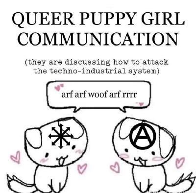 a meme